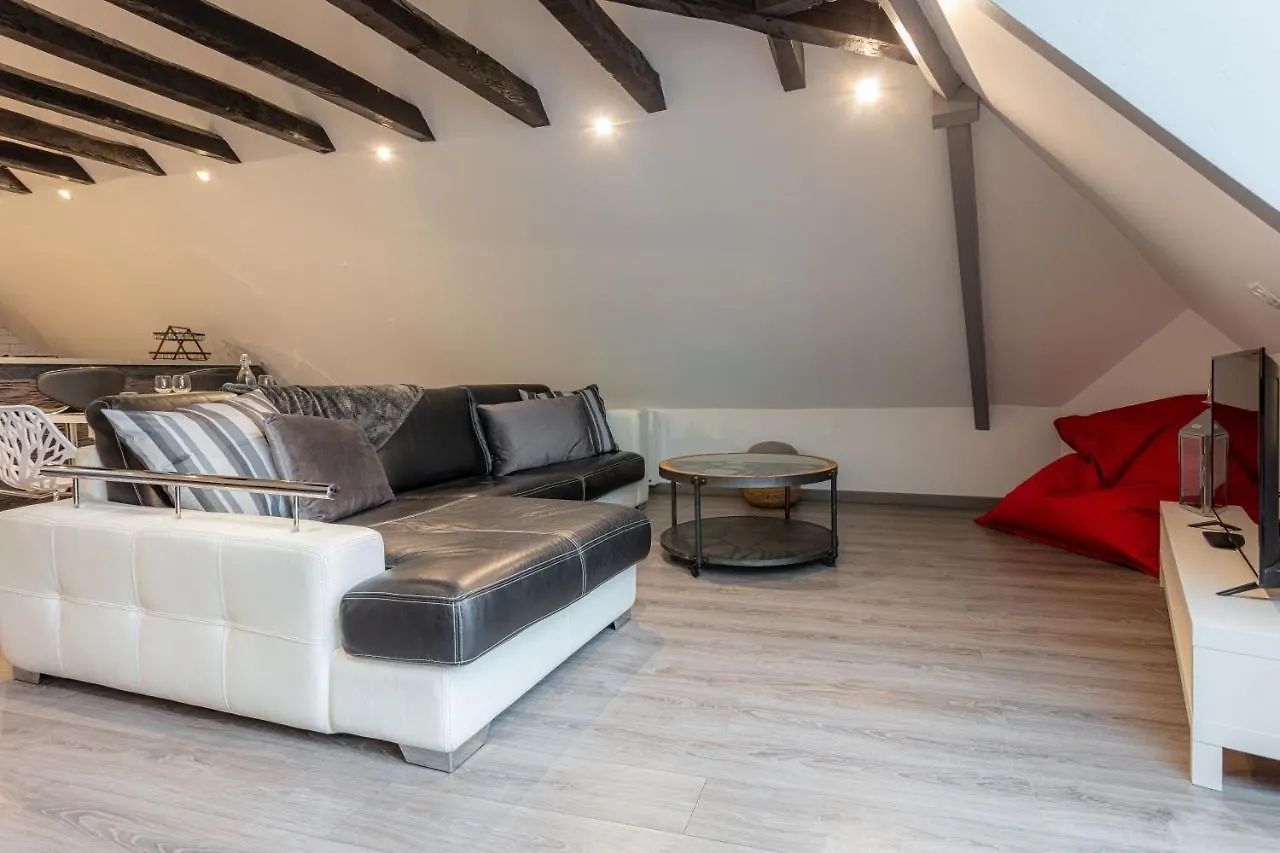 Appartement - L'Observatoire - Vue - Centre- Atypique à Rodez France